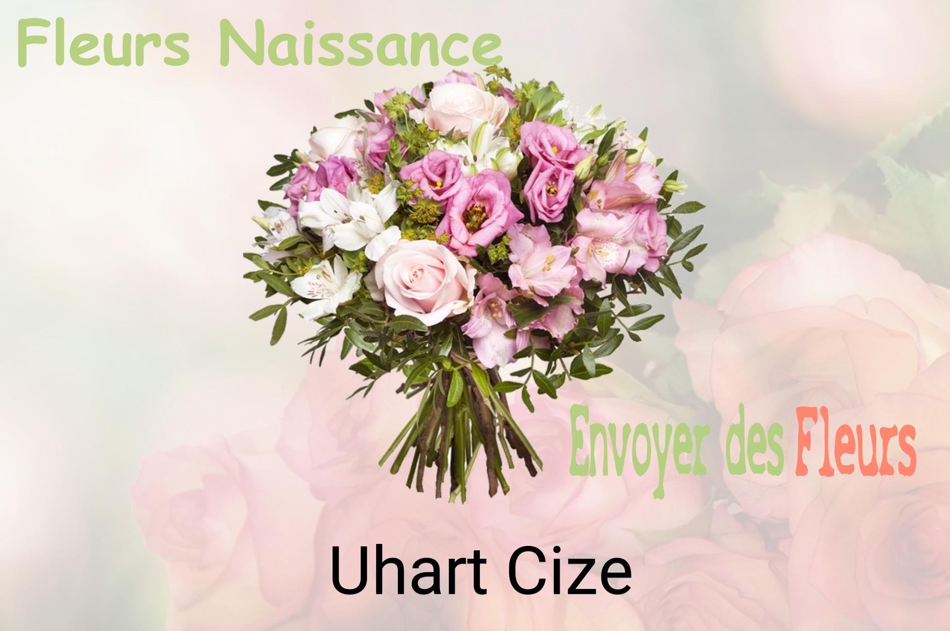 Bouquet de fleurs de naissance livré à Uhart-Cize